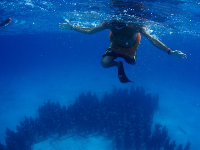 Mergulhe com snorkel no museu musa 